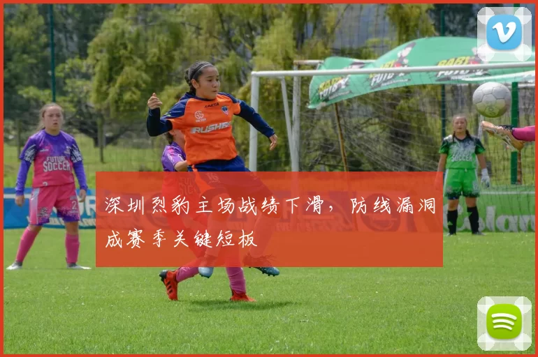 深圳烈豹主场战绩下滑,防线漏洞成赛季关键短板