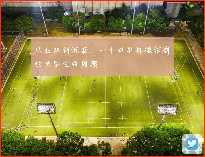 从狂热到沉寂:一个世界杯微信群的典型生命周期