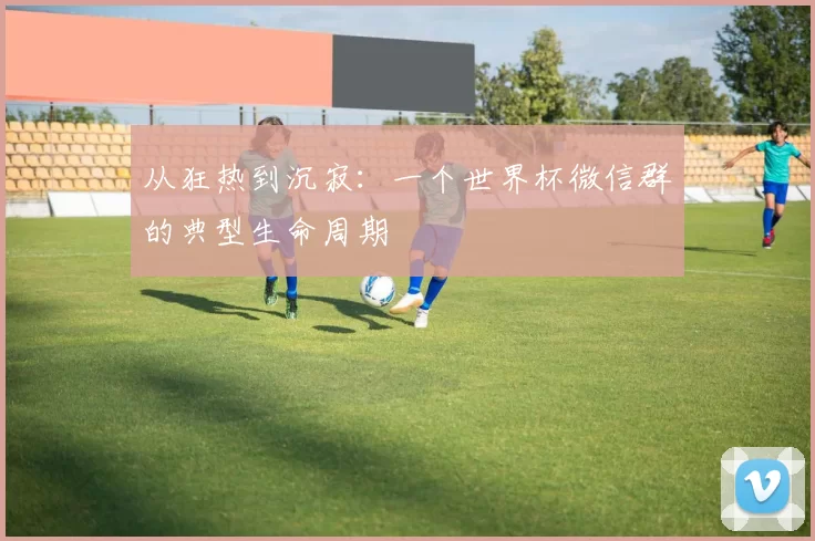 从狂热到沉寂：一个世界杯微信群的典型生命周期