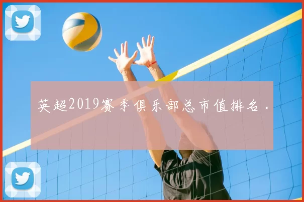 英超2019赛季俱乐部总市值排名 .