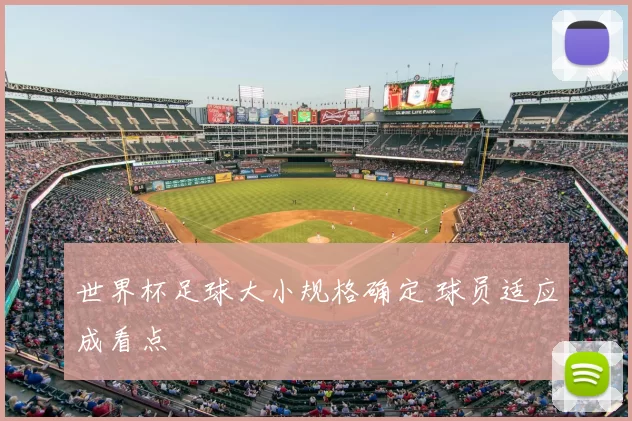 世界杯足球大小规格确定 球员适应成看点
