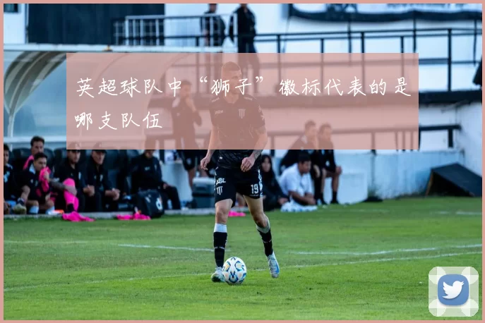 英超球队中“狮子”徽标代表的是哪支队伍