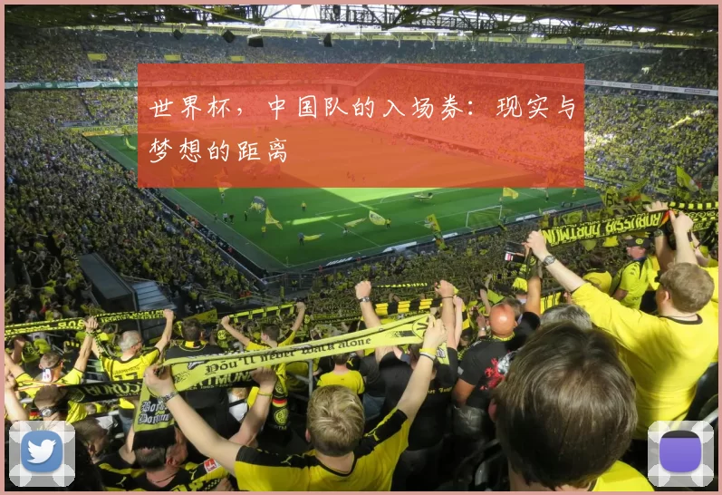 世界杯,中国队的入场券:现实与梦想的距离