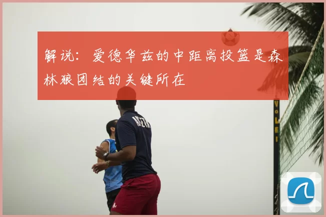 解说：爱德华兹的中距离投篮是森林狼团结的关键所在