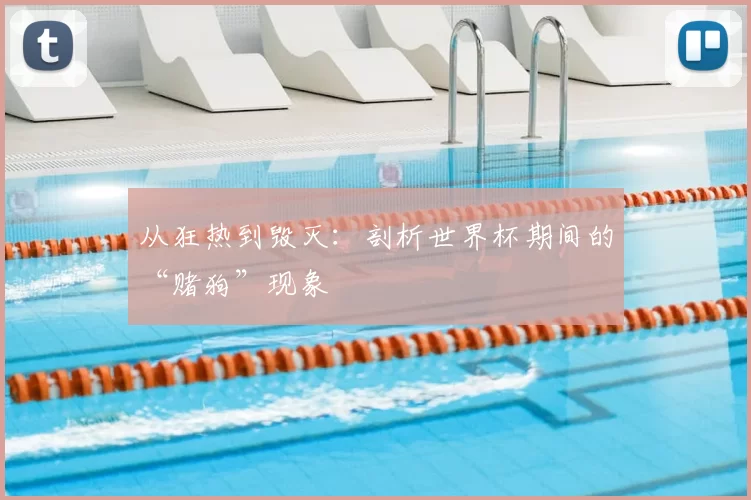 从狂热到毁灭:剖析世界杯期间的“赌狗”现象